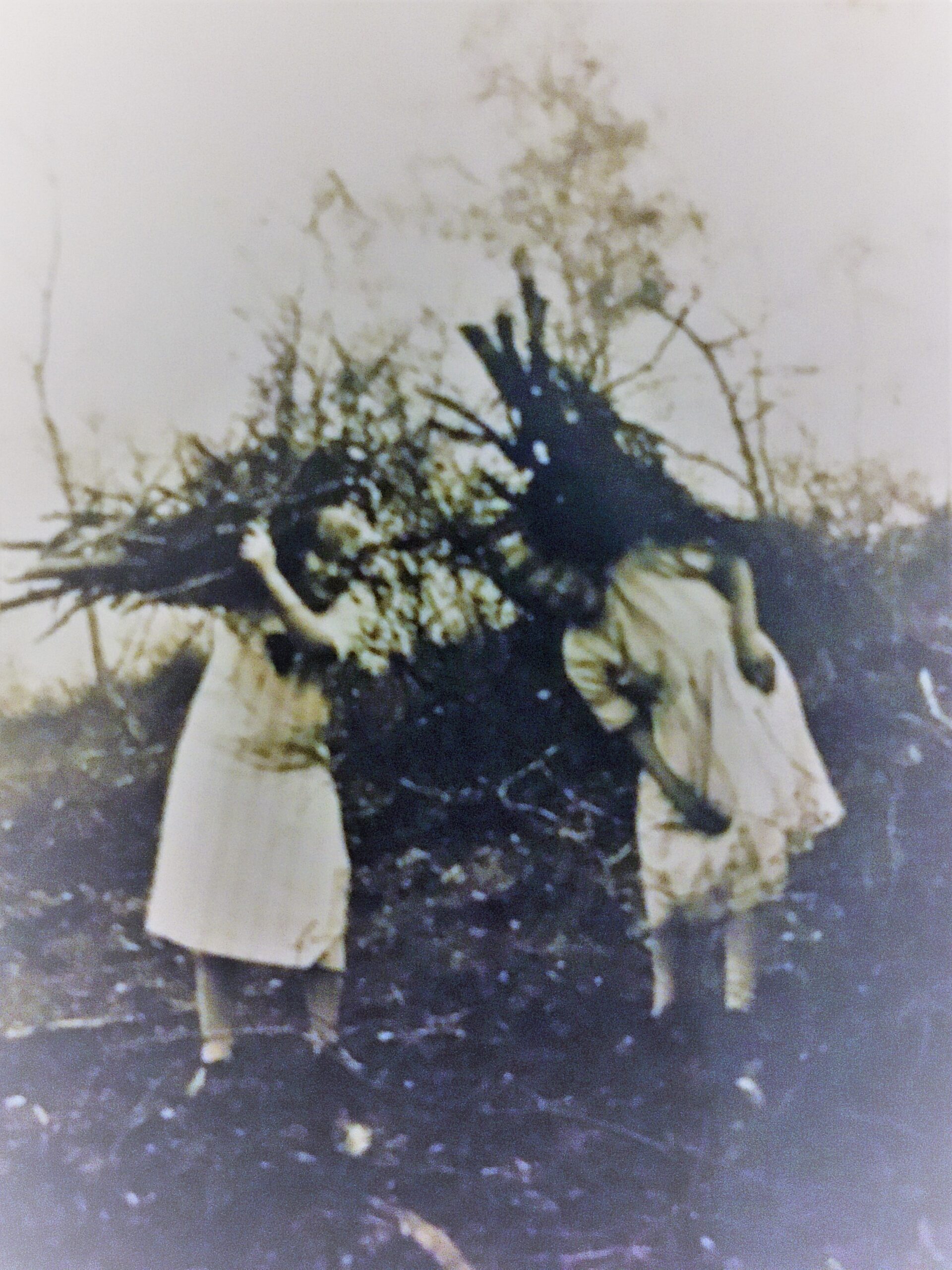 Sticking Ella & Eunice